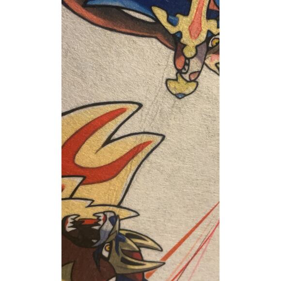 Pokémon Sword Shield  Galar region Sign Banner Flag Felt Nintendo Switch Promo - Picture 11 of 14
